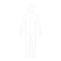 Reeducação postural (RPG)