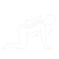 Exercícios para escoliose
